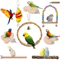 Bird Supplies