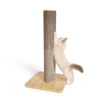 Cat Scratchers