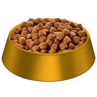 Dog Food