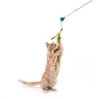Cat Toys
